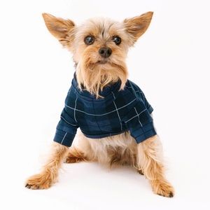 Smash & Tess Dog Sweater